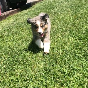 Meet your Posher, Seth